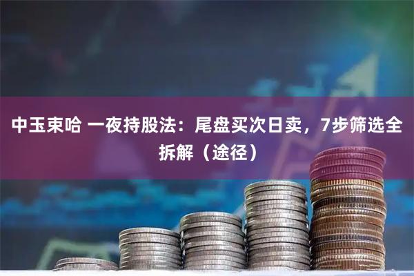 中玉束哈 一夜持股法：尾盘买次日卖，7步筛选全拆解（途径）