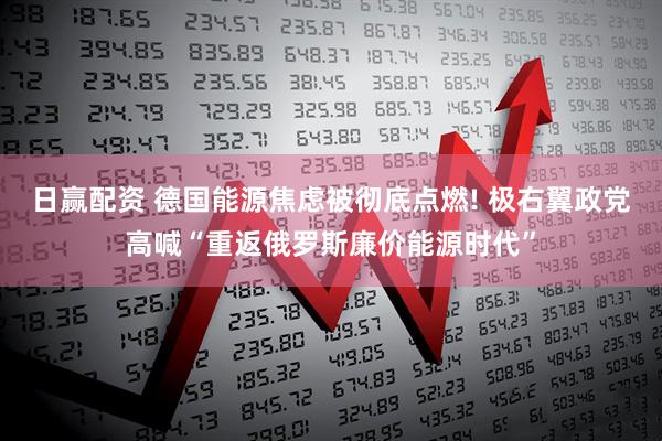日赢配资 德国能源焦虑被彻底点燃! 极右翼政党高喊“重返俄罗斯廉价能源时代”