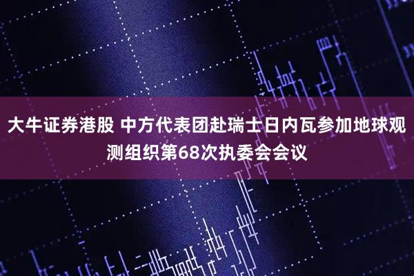 大牛证券港股 中方代表团赴瑞士日内瓦参加地球观测组织第68次执委会会议