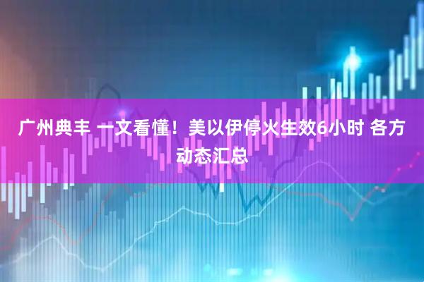 广州典丰 一文看懂！美以伊停火生效6小时 各方动态汇总