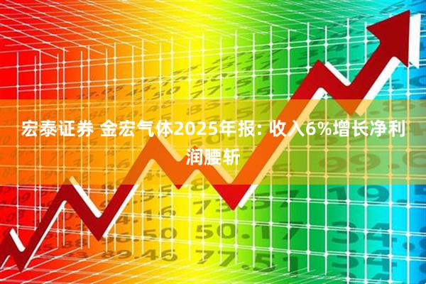 宏泰证券 金宏气体2025年报: 收入6%增长净利润腰斩