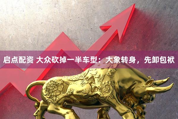 启点配资 大众砍掉一半车型:大象转身,先卸包袱