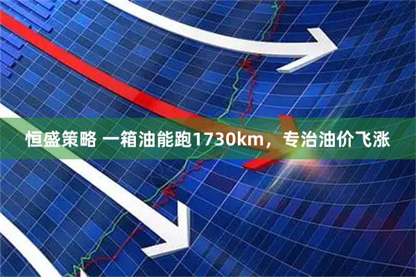 恒盛策略 一箱油能跑1730km，专治油价飞涨