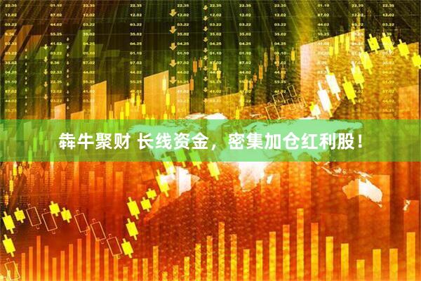 犇牛聚财 长线资金，密集加仓红利股！