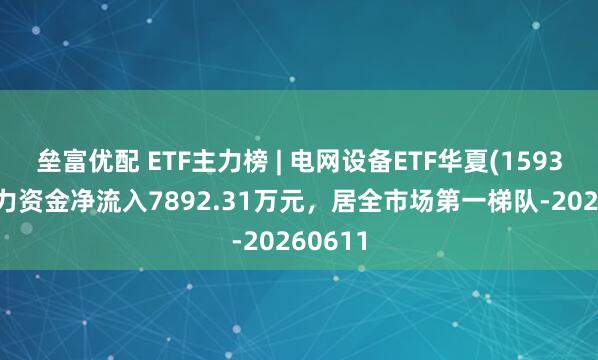 垒富优配 ETF主力榜 | 电网设备ETF华夏(159326)主力资金净流入7892.31万元，居全市场第一梯队-20260611