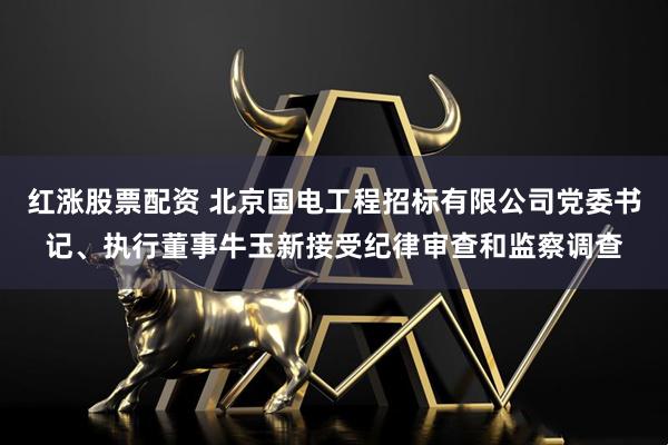 红涨股票配资 北京国电工程招标有限公司党委书记、执行董事牛玉新接受纪律审查和监察调查